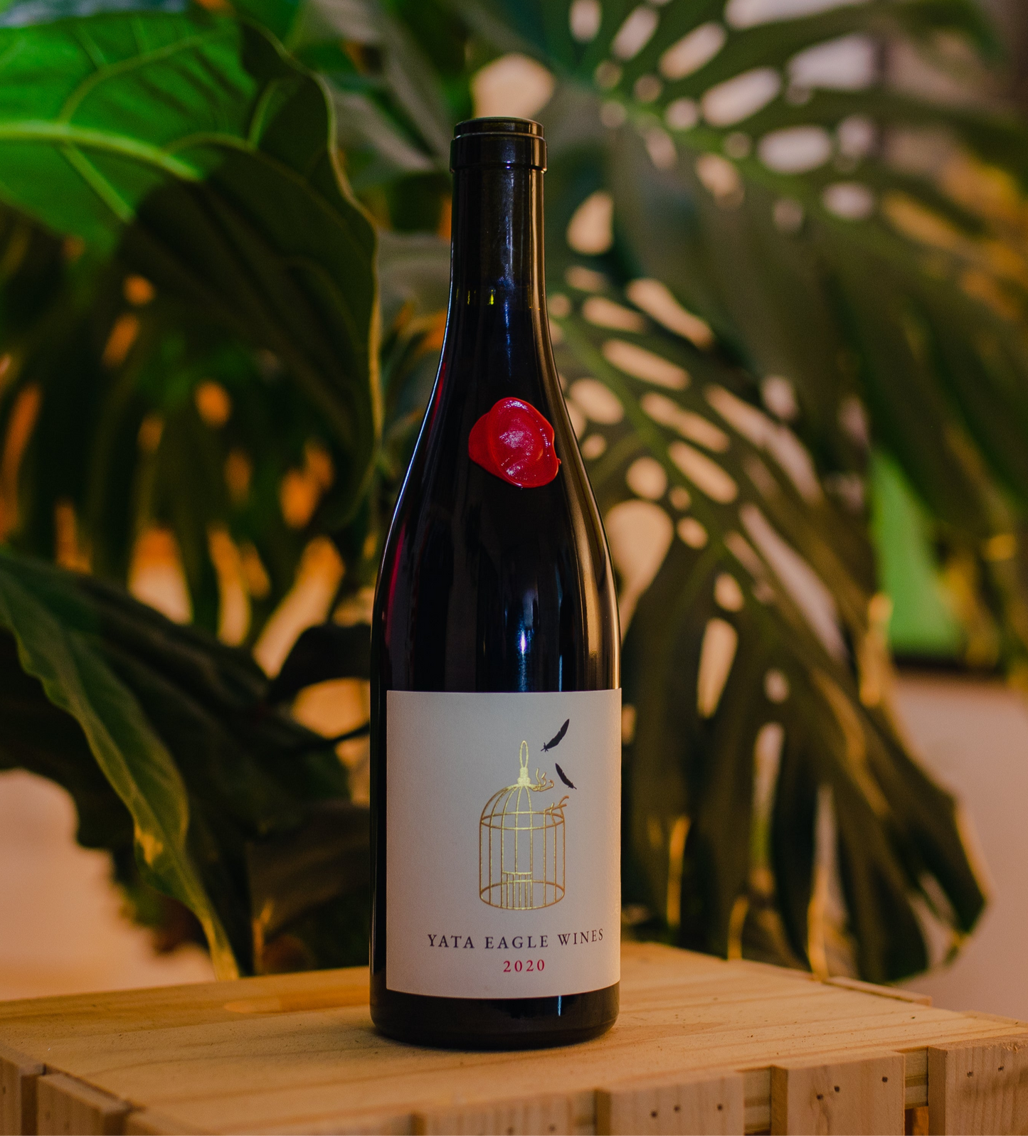 2020 Yata Eagle Syrah Wine - Yata Eagle Wines