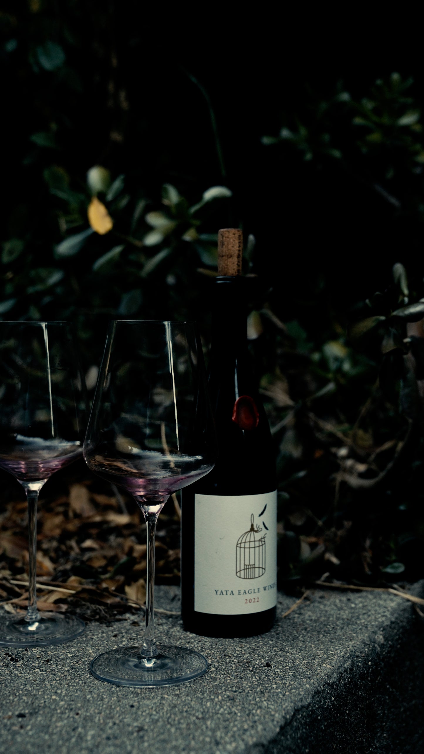 2022 Yata Eagle Syrah