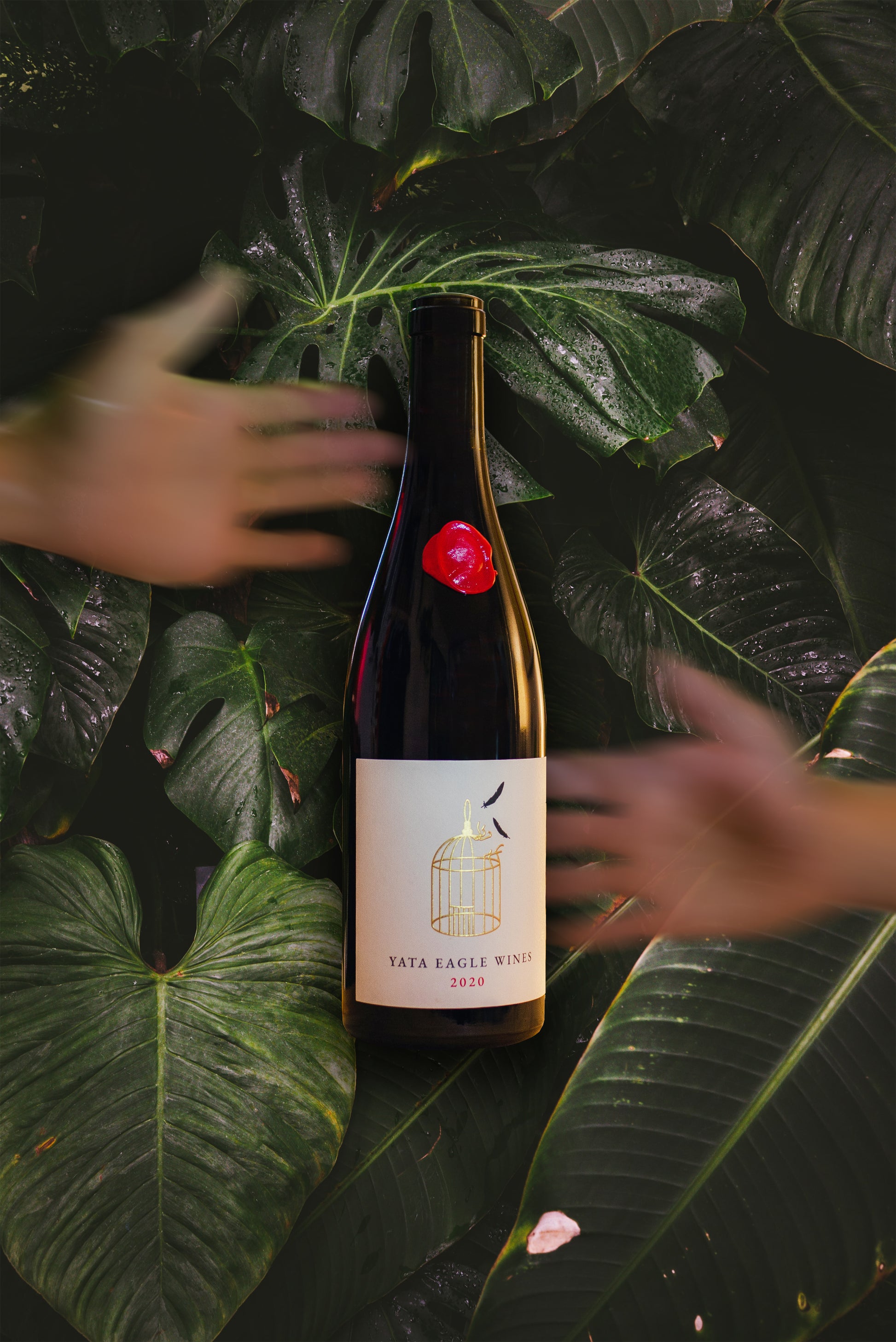 2020 Yata Eagle Syrah Wine - Yata Eagle Wines
