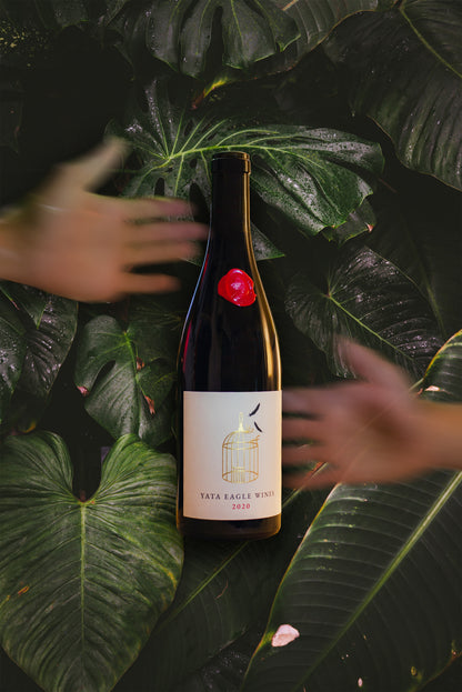 2020 Yata Eagle Syrah Wine - Yata Eagle Wines